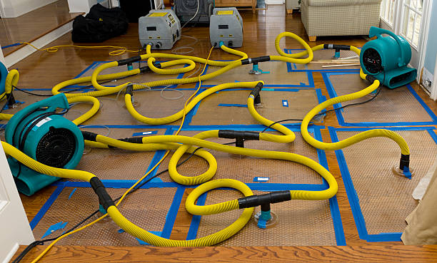 Professional Water Extraction technician working in Skamokawa, WA